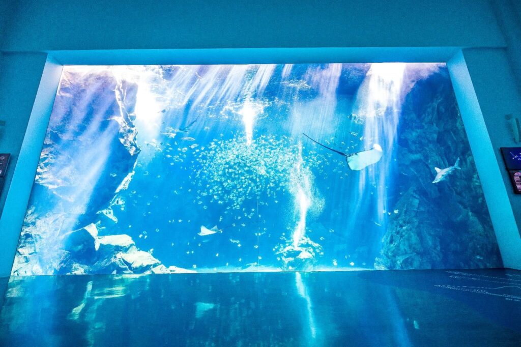 Xpark_福爾摩沙