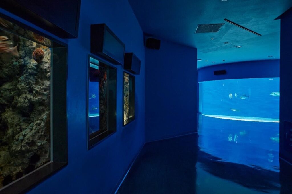 Xpark_暖海生機